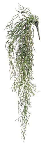 Суккулент подвесной 90 см
